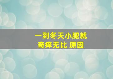 一到冬天小腿就奇痒无比 原因